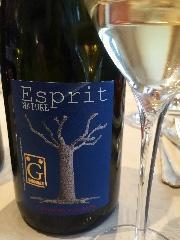 Esprit de H. Giraud