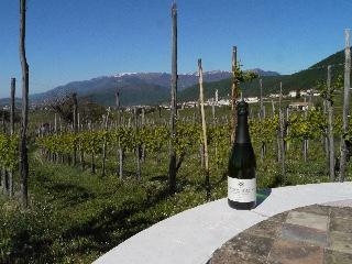 DOCG Prosseco Superiore Bouteille du Consorzio