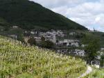 paysage autour de Valdobbiadene