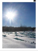 Vignoble sous la neige de janvier au Québec